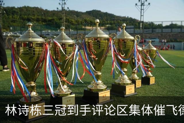 林诗栋三冠到手评论区集体催飞德国，王楚钦挨讽樊振东躲不开